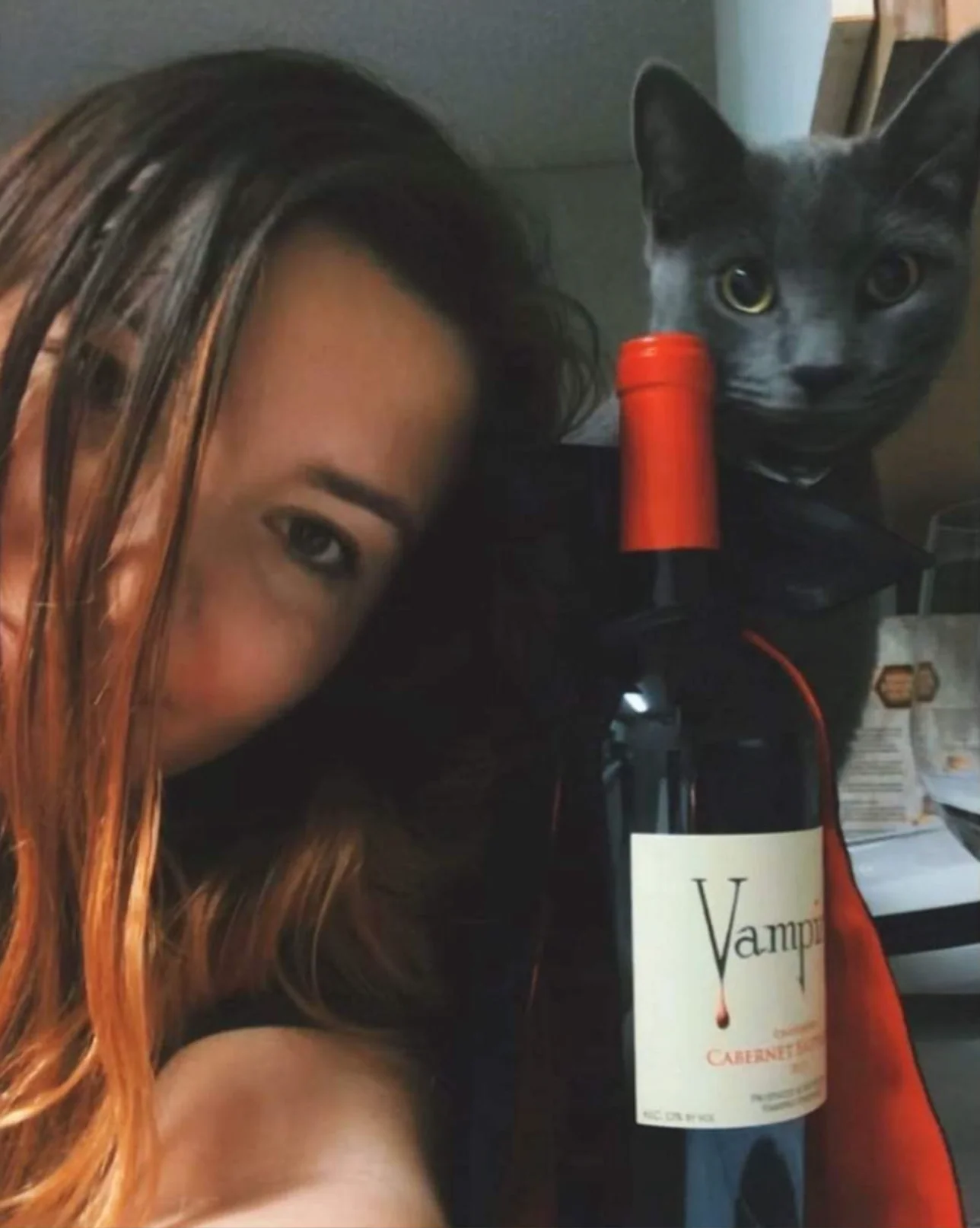 VAMPIRE® CABERNET SAUVIGNON WITH COFFIN & CAPE - Image 8